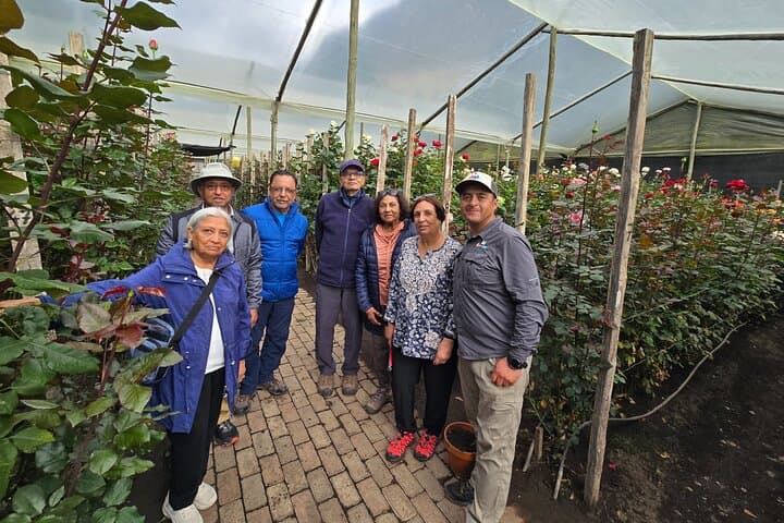 Papallacta Hot Springs & Ecuador Roses Farm: Day Trip from Quito photo 4