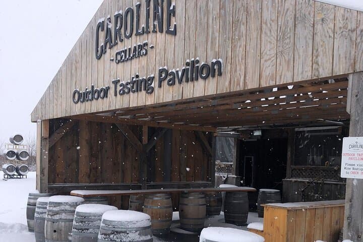 Half-Day Niagara Wine Tour: Tastings, Lunch & Transport from Niagara Falls photo 5