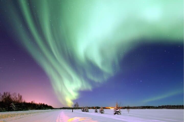 Reykjavik Northern Lights Hunt: Guide, Tips & Aurora Centre Entry photo 3