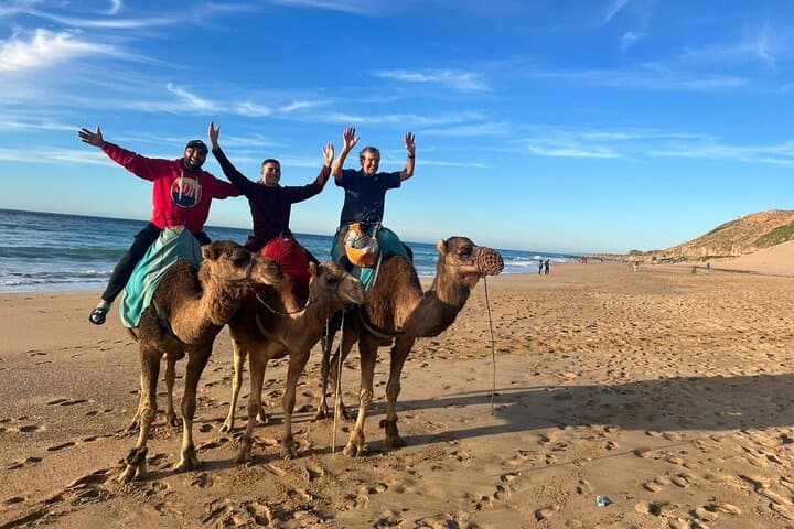 Tangier Quad-Bike and Camel Beach Adventure with Moroccan Dinner & Show photo 3