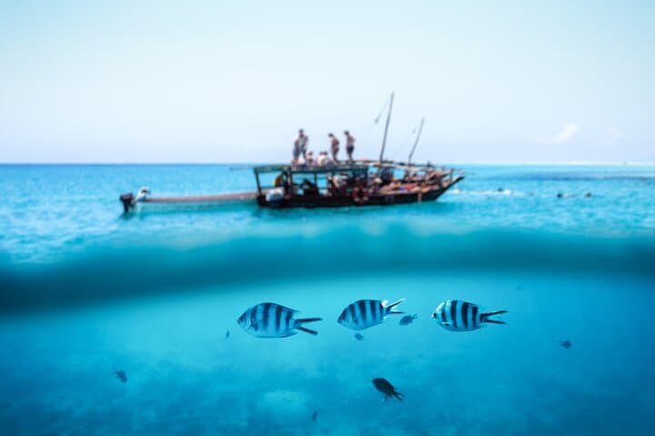 Mnemba Island Private Boat Snorkel & Dolphin Adventure from Nungwi photo 2