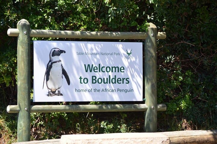 Cape of Good Hope Day Tour: Chapman’s Peak Drive, Boulders Beach Penguins & Cape Point Views
