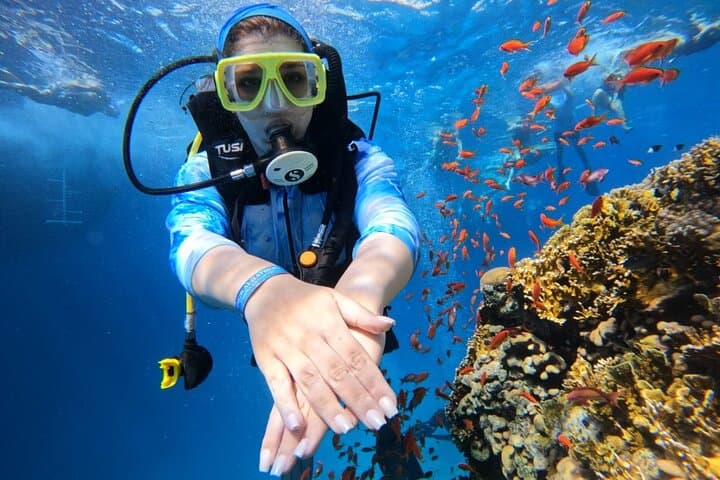 Ras Mohamed and White Island: Two-Dive Day Trip from Sharm El Sheikh