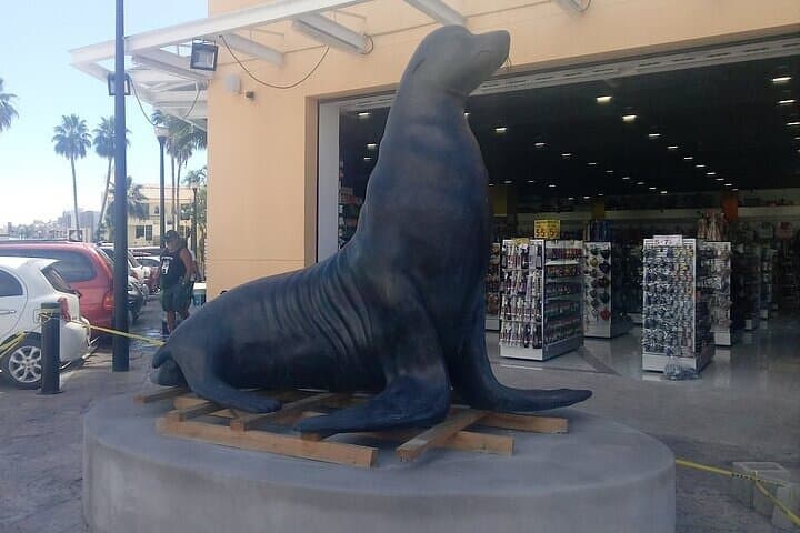 Cabo San Lucas Scavenger Hunt: Self-Guided Interactive Walking Tour & #CABO Photo Stops photo 2