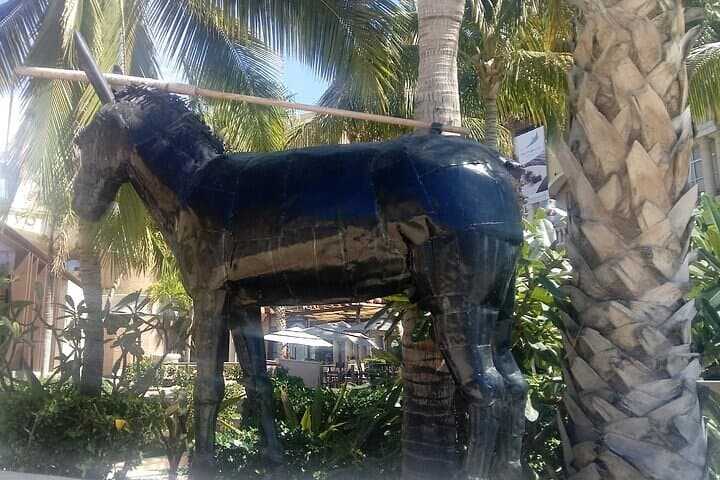 Cabo San Lucas Scavenger Hunt: Self-Guided Interactive Walking Tour & #CABO Photo Stops photo 5