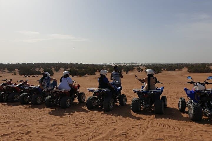 Agadir Quad & Buggy Adventure: Dunes, Euphorbia Forest and Beach Ride (2-Hour) photo 6