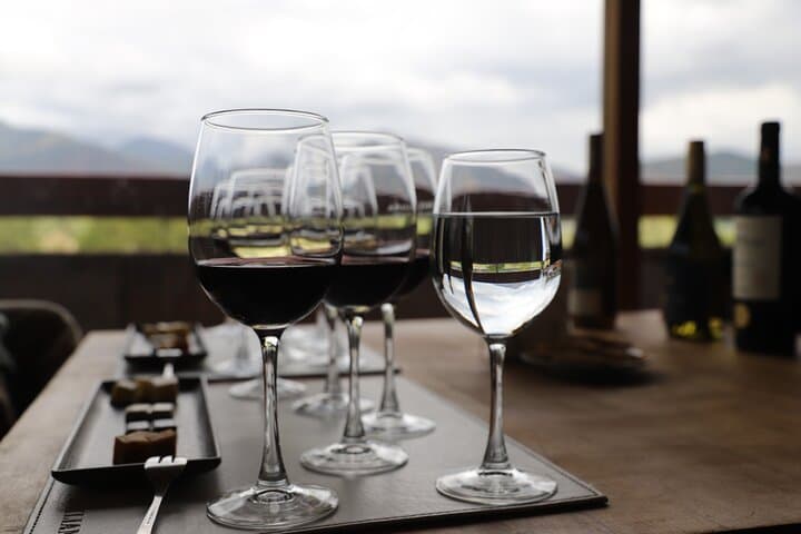 Casablanca Valley Three-Vineyards Wine Tour: Tastings, Lunch & Organic Estates photo 3