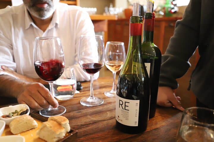 Casablanca Valley Three-Vineyards Wine Tour: Tastings, Lunch & Organic Estates photo 1