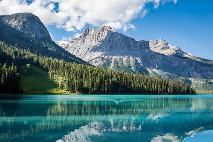 Rockies Day Tour: Lake Louise, Moraine & Emerald Lake from Calgary photo 2