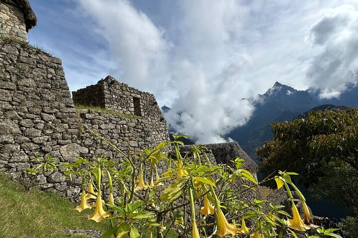 10-Day Machu Picchu & Rainbow Mountain Adventure from Cusco photo 2