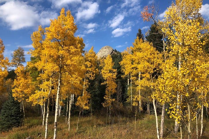 Guided Group Hike in the Rockies from Denver: Half-Day Trails Near Red Rocks photo 6
