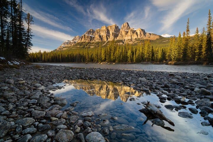 Columbia Icefield Day Tour: Icefields Parkway, Peyto & Bow Lake Highlights photo 4