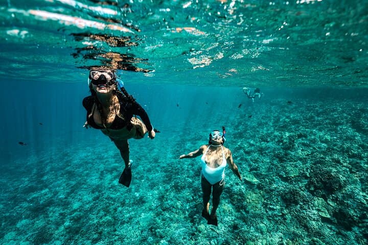 Afternoon Snorkel and Waterslide at Coral Gardens from Maalaea Harbor photo 5