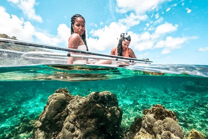 Clear Kayak Coral Reef Tour in Grenada — See Reefs Through Transparent Kayaks photo 5