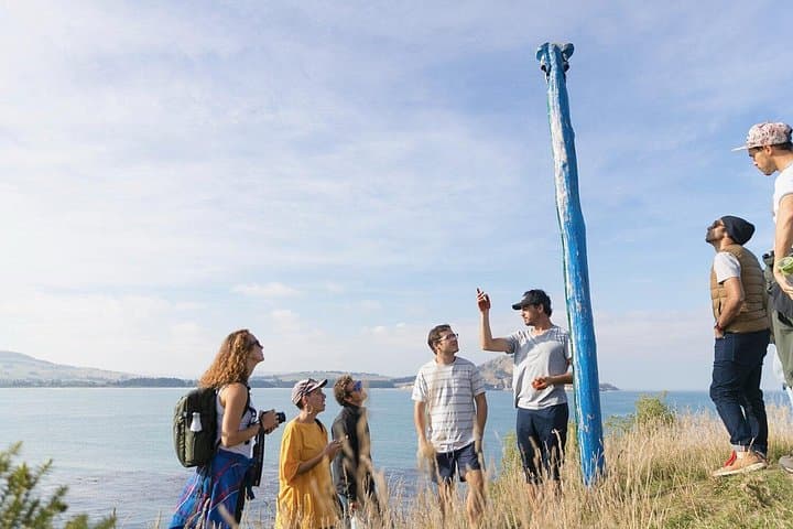 Dunedin Coastal Minibus Tour — Huriawa Māori Walk & Moeraki Boulders photo 1