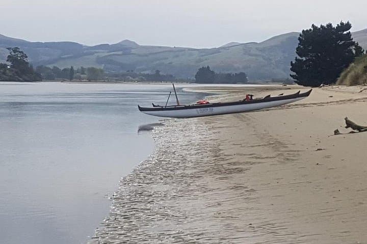 Dunedin Coastal Minibus Tour — Huriawa Māori Walk & Moeraki Boulders photo 4