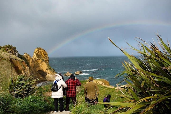 Dunedin Coastal Minibus Tour — Huriawa Māori Walk & Moeraki Boulders photo 3