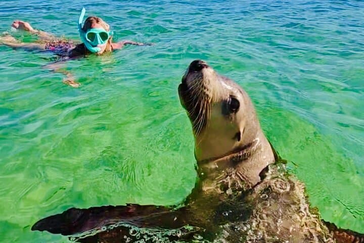 Turquoise Coast & Pinnacles Desert: Private Day Tour from Perth