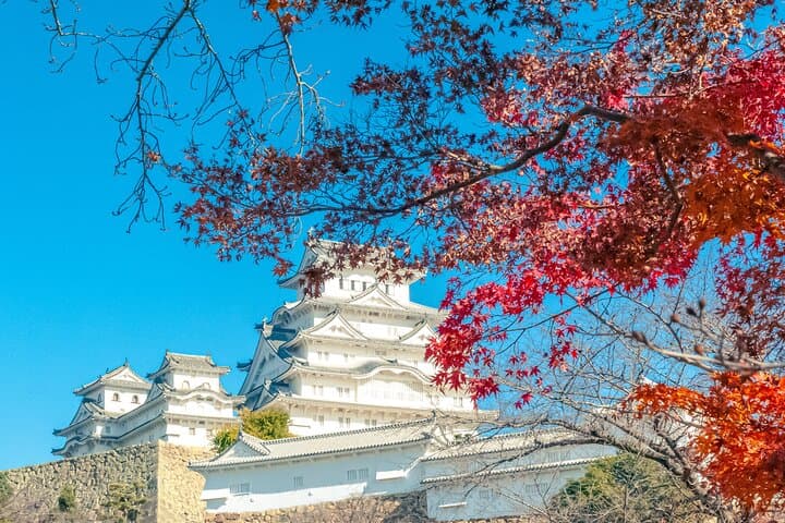 Half-Day Himeji Castle & Koko-en Garden Tour — White Heron Castle Experience photo 1