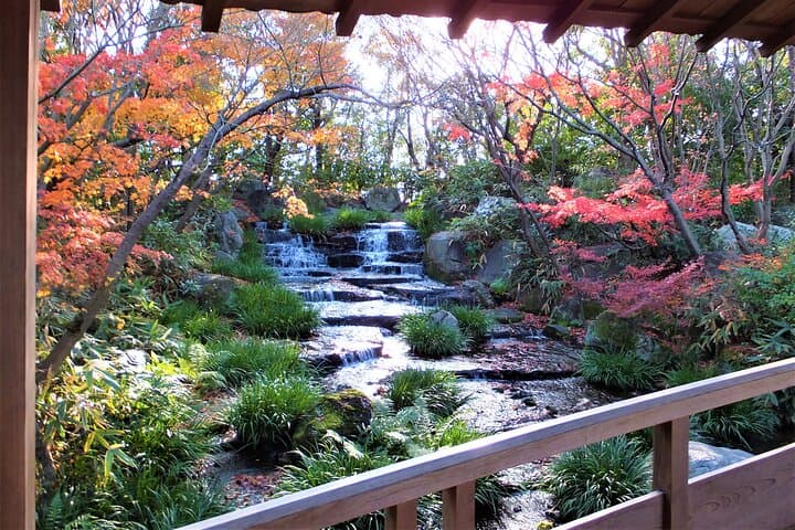 Half-Day Himeji Castle & Koko-en Garden Tour — White Heron Castle Experience photo 2