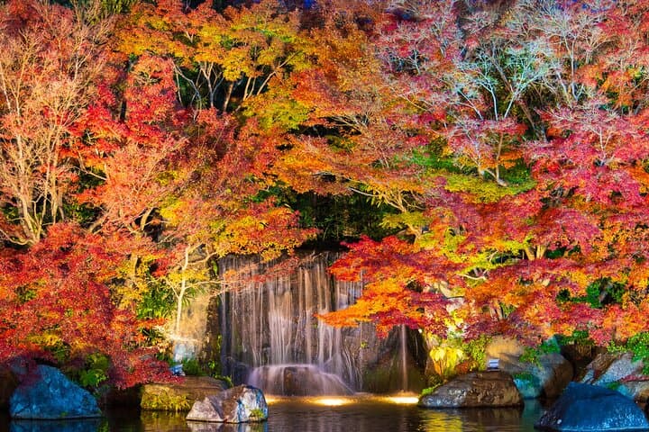 Half-Day Himeji Castle & Koko-en Garden Tour — White Heron Castle Experience photo 4