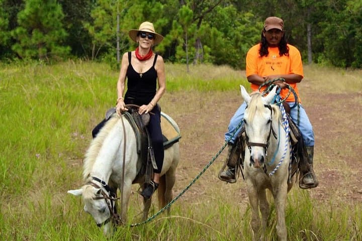Hopkins Horseback Riding: Rainforest & River Swim through Orange Groves (6–7 hrs)