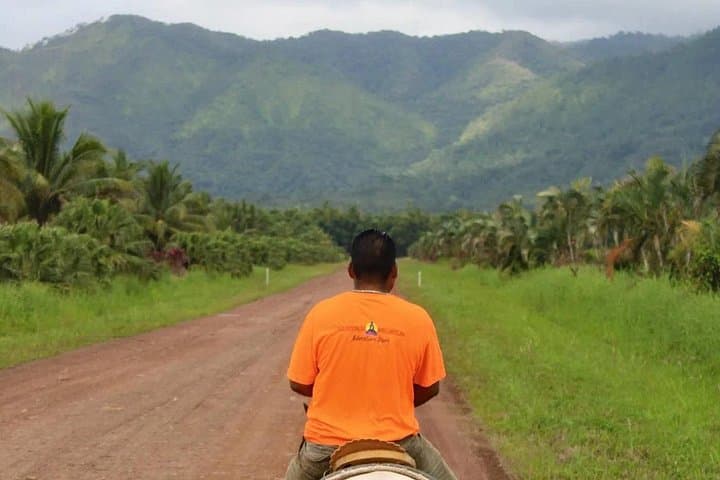 Hopkins Horseback Riding: Rainforest & River Swim through Orange Groves (6–7 hrs) photo 3