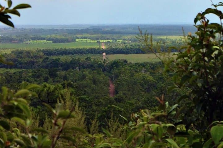 Hopkins Horseback Riding: Rainforest & River Swim through Orange Groves (6–7 hrs) photo 4