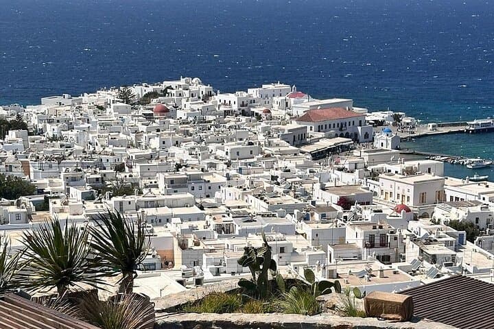 Half-Day Mykonos Experience: Windmills, Beaches & Historic Town Highlights