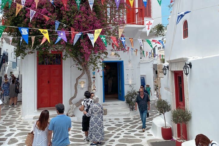 Half-Day Mykonos Experience: Windmills, Beaches & Historic Town Highlights photo 5