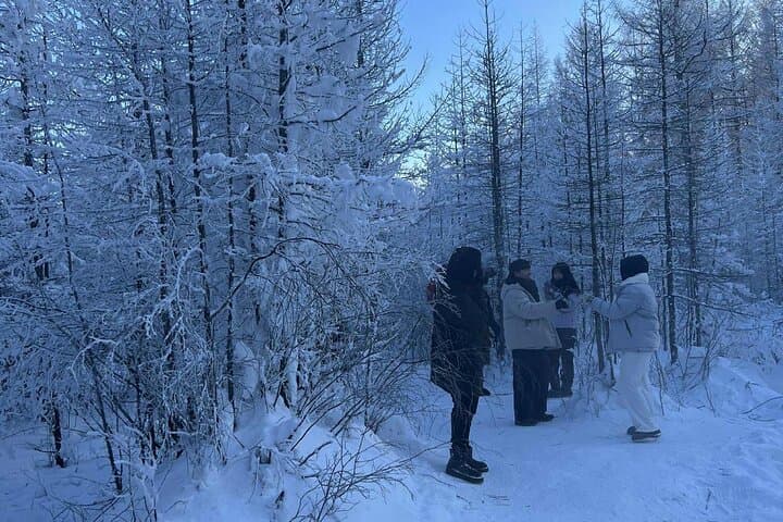 Khuvsgul Lake Winter Adventure: Ice Lake & Taiga Experience photo 3