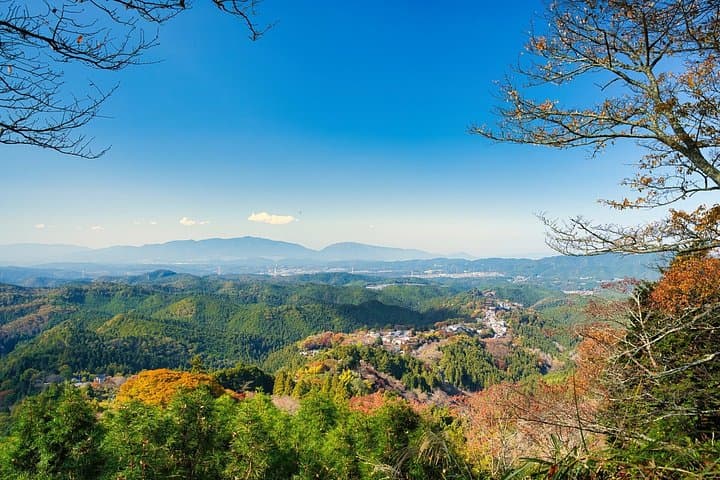 Hike Yoshinoyama: Historic Cherry-Tree Trails of Mount Yoshino