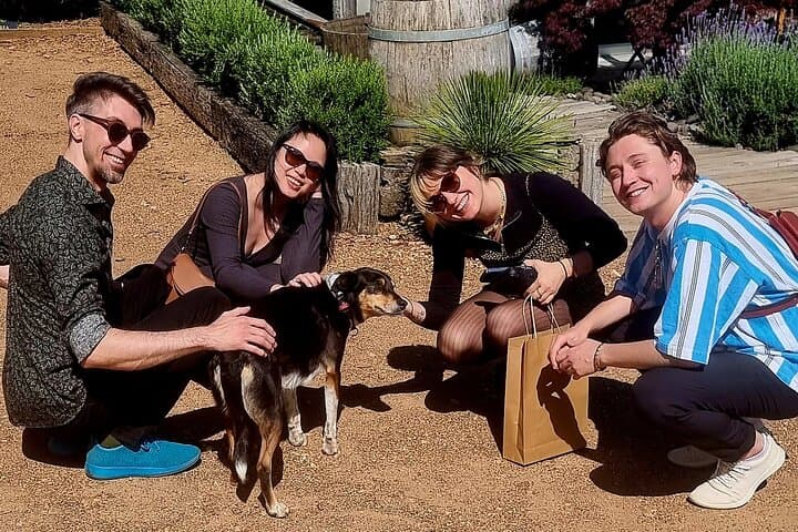 Waiheke Off-Grid Small-Group Wine Tour: Boutique Wineries & Back-Roads photo 4