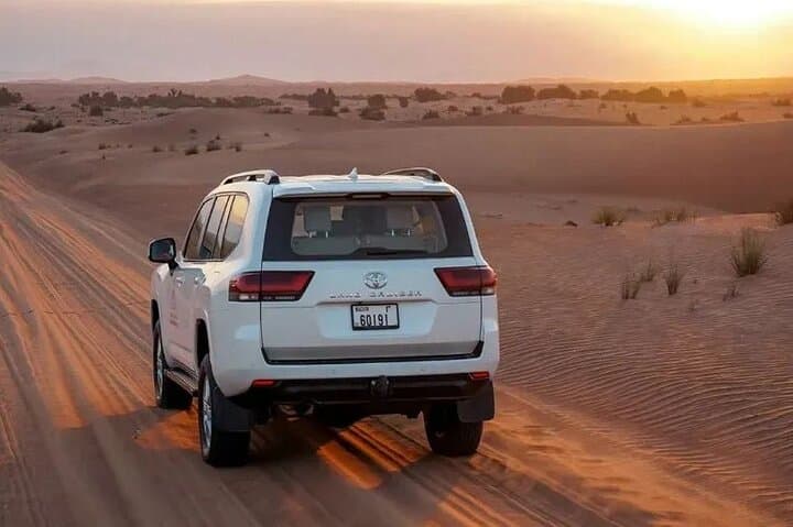 VIP Red Dune Desert Safari in Lahbab: Dune Bashing, Camel Rides & BBQ Night photo 3