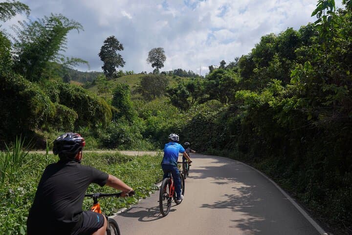 Mae Wang Valley Cycling and Bamboo Rafting Day Trip from Chiang Mai