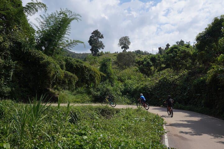 Mae Wang Valley Cycling and Bamboo Rafting Day Trip from Chiang Mai photo 5