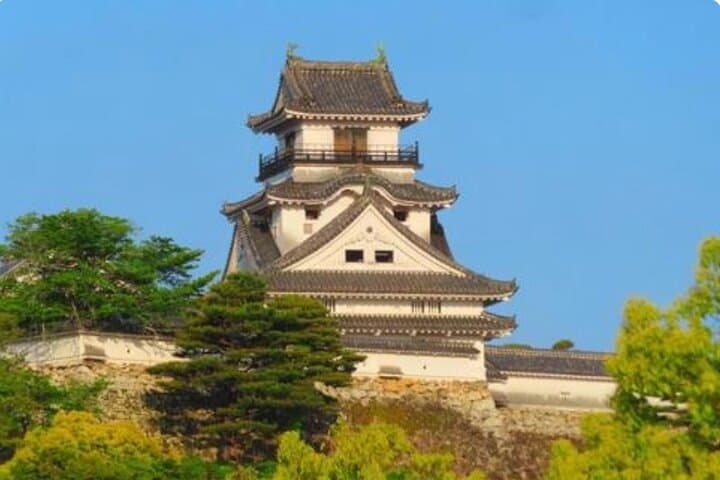 Half-Day Kochi Shore Excursion: Castle, Katsurahama & Hirome Market photo 2
