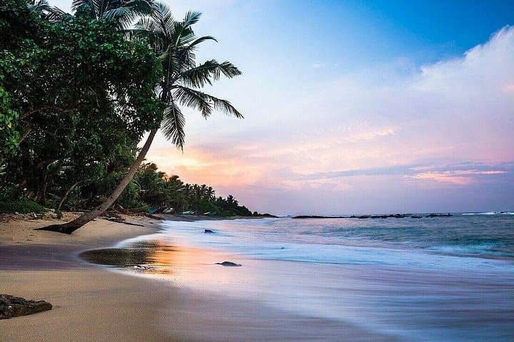 Galle Coastal Heritage and Highlights — Full-Day Coach Tour from Colombo photo 2