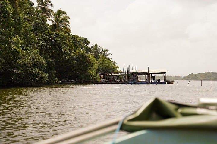 Galle Coastal Heritage and Highlights — Full-Day Coach Tour from Colombo photo 4