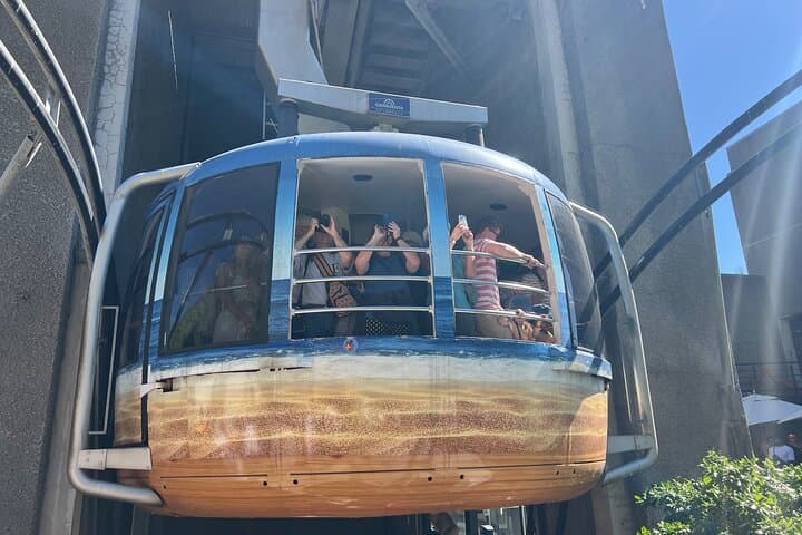 Table Mountain Half-Day Cable Car Tour: Cape Town Summit Views & Trails