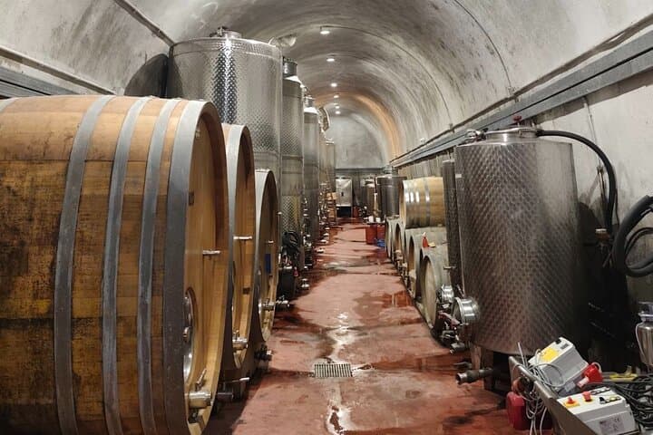 Santorini Wine Tour & Oia Sunset: Volcanic Vines, Caldera Views, and Tasting the Aegean photo 5