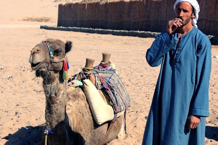 Sharm El Sheikh Desert Quad Safari & Bedouin Camel Ride photo 4