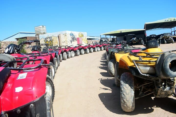 Sharm El Sheikh Desert Quad Safari & Bedouin Camel Ride photo 6