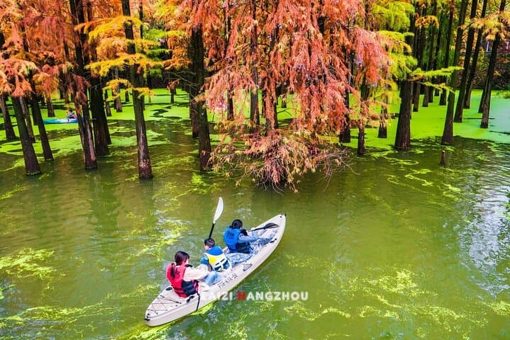 Qingshan Lake Water Forest Half‑Day Tour from Hangzhou photo 5