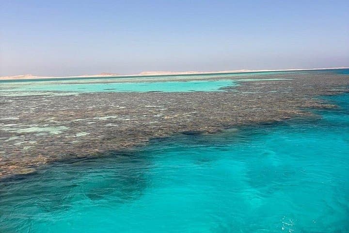 Snorkel Ras Mohammed & White Island: Red Sea Day Trip from Sharm El-Sheikh photo 2