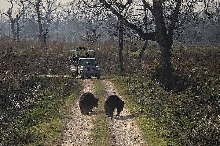 Chitwan Jungle Safari: 3-Day Wildlife Adventure from Kathmandu photo 4