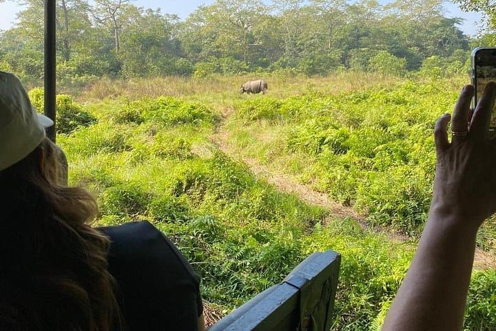 Chitwan Jungle Safari: 3-Day Wildlife Adventure from Kathmandu photo 3