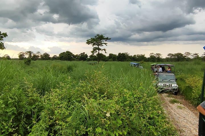 Chitwan Jungle Safari: 3-Day Wildlife Adventure from Kathmandu photo 6