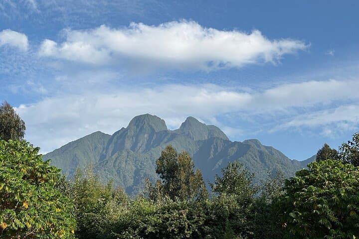 One-Day Gorilla Trekking in Volcanoes National Park — From Kigali to the Virunga Mountains photo 4