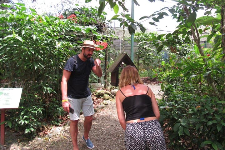 Gatun Lake Wildlife Boat Tour: Sloths, Monkeys & Canal Giants photo 4